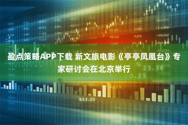 盈点策略APP下载 新文旅电影《亭亭凤凰台》专家研讨会在北京举行