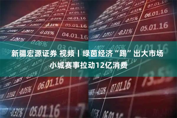新疆宏源证券 视频丨绿茵经济“踢”出大市场 小城赛事拉动12亿消费